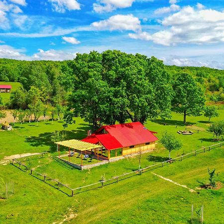 Villa Casuta Din Stejari-Transalpina Novaci-Străini Exterior foto