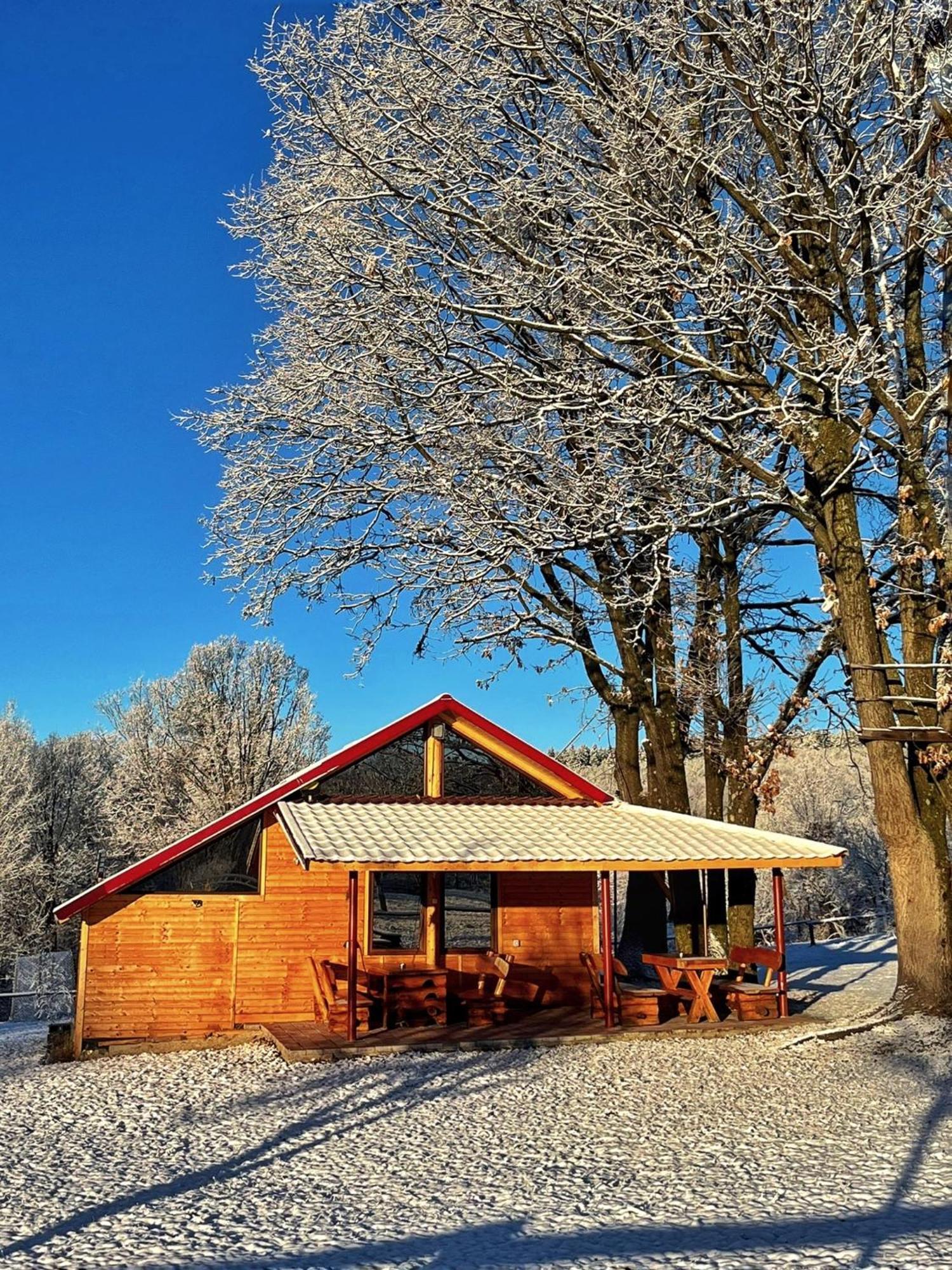 Villa Casuta Din Stejari-Transalpina Novaci-Străini Exterior foto